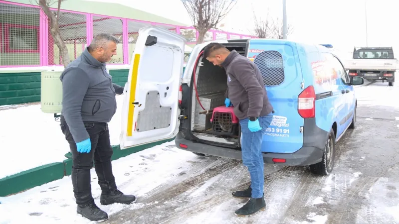 Kayseri Melikgazi'nin 'Sevimli Dost Ambulansı' boş durmadı